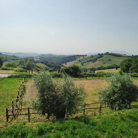 Montefiorentino Agroturismo